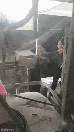 Acid GIFs, September 14 (25 gifs)