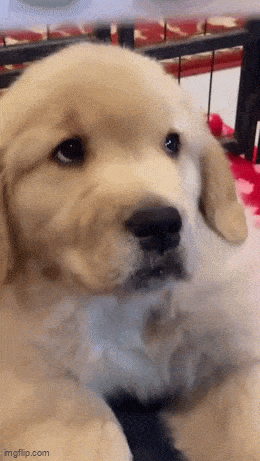 Acid GIFs, September 14 (25 gifs)