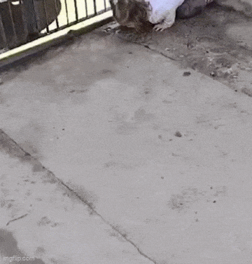 Acid GIFs, September 14 (25 gifs)