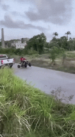Acid GIFs, September 14 (25 gifs)