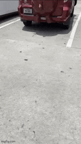 Acid GIFs, September 14 (25 gifs)