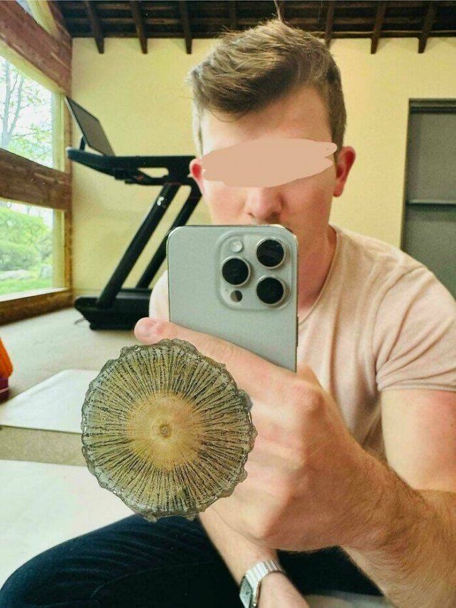 Interesting Finds And Discoveries (24 pics)
