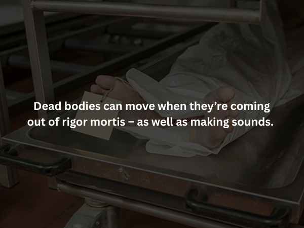 Creepy Facts (15 pics)