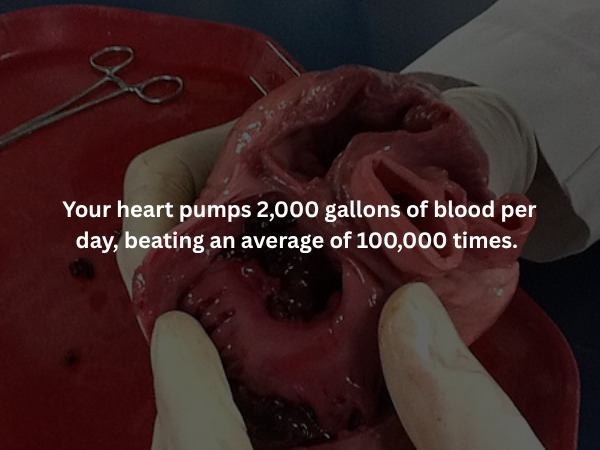 Creepy Facts (15 pics) Creepy Facts (15 pics)