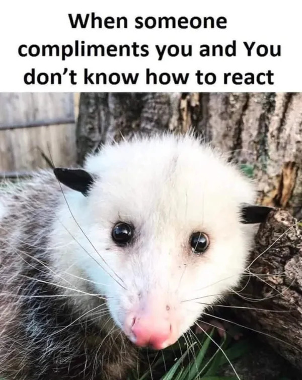 Random Memes (21 pics)