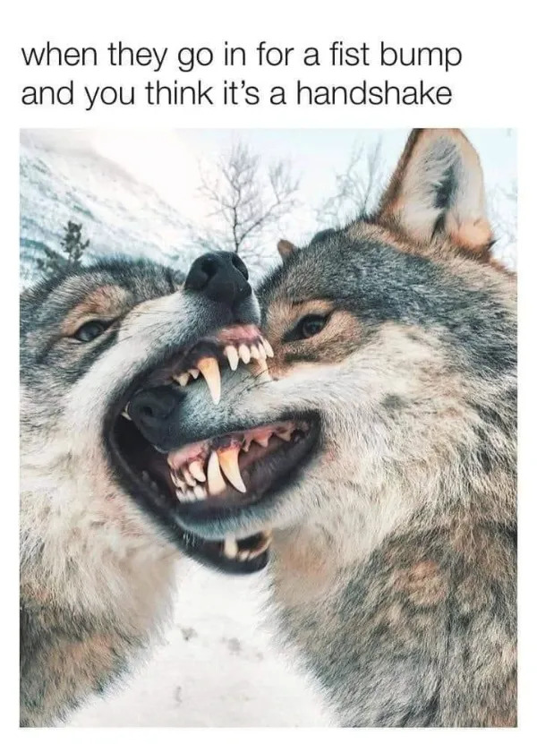 Random Memes (21 pics)