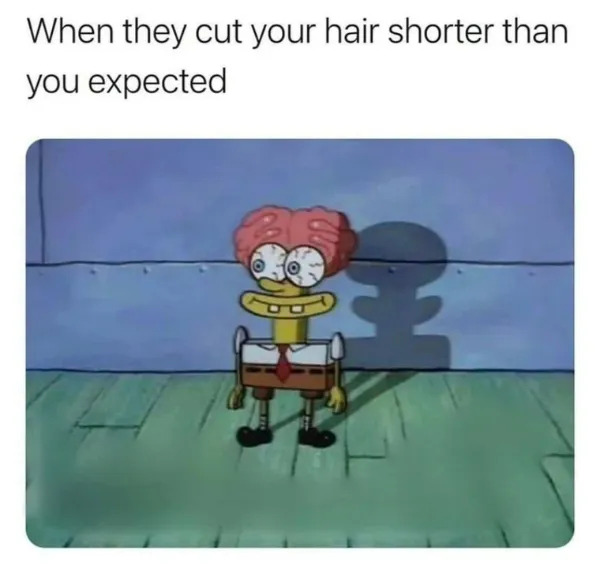 Random Memes (21 pics)