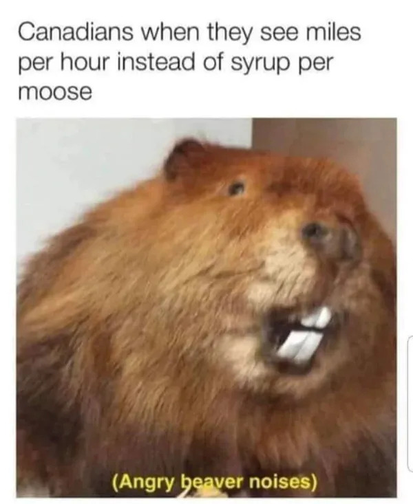 Random Memes (21 pics)