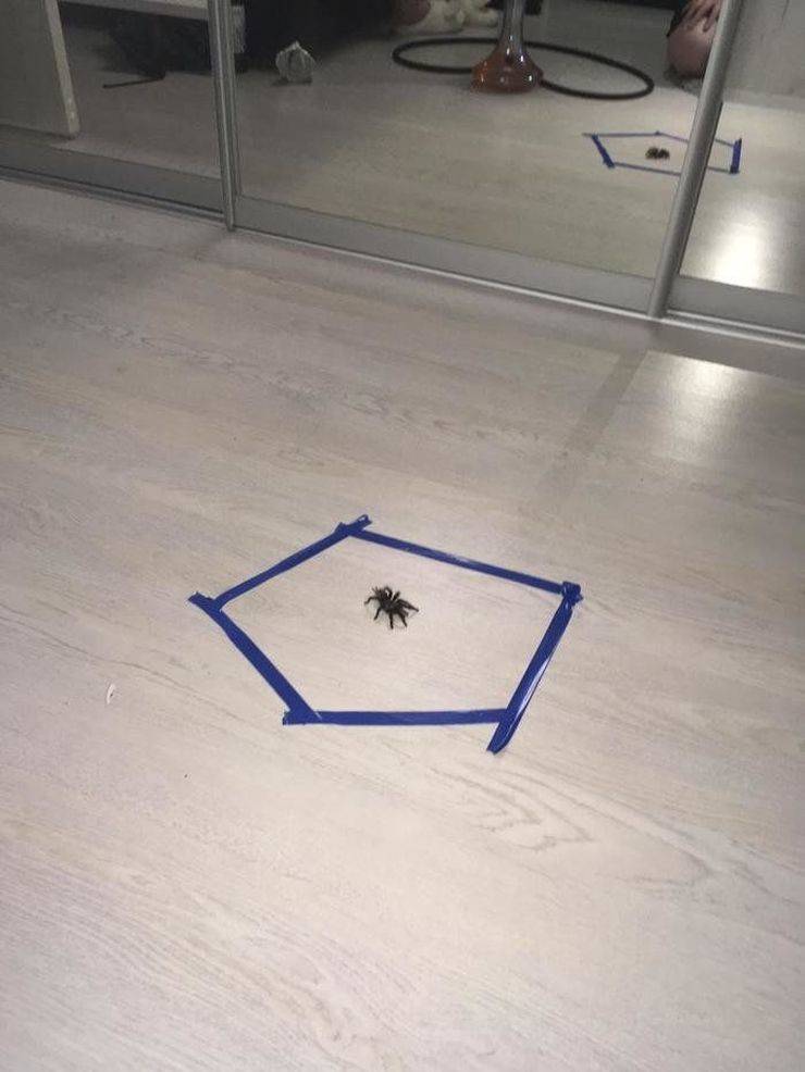Daily Pictures. Part 2 (77 pics)