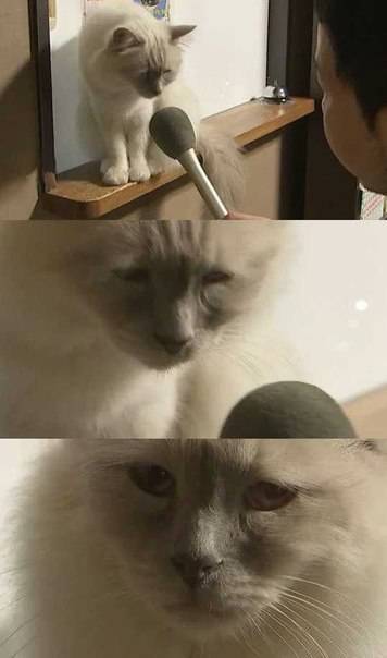 Daily Pictures. Part 2 (77 pics)