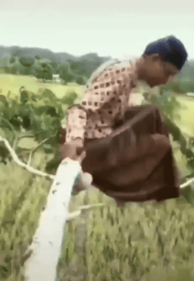 1789427984_22.gif