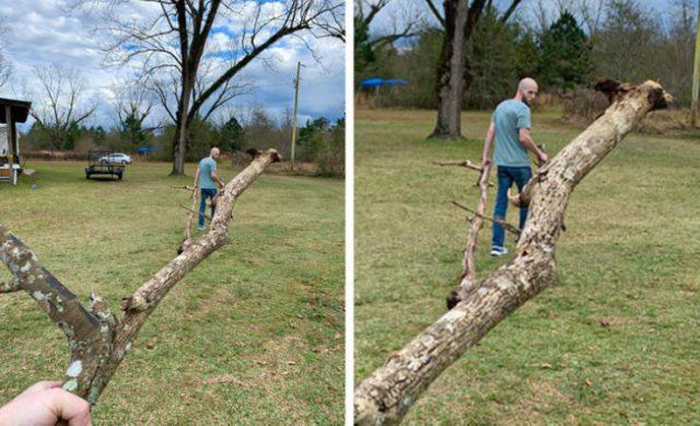 Optical Illusions (33 pics)