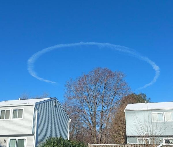 Photos For Perfectionists (17 pics) Photos For Perfectionists (17 pics)