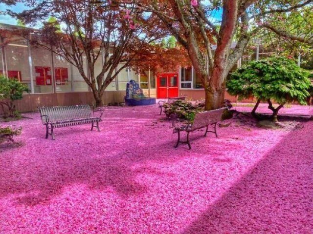 Photos For Perfectionists (17 pics) Photos For Perfectionists (17 pics)