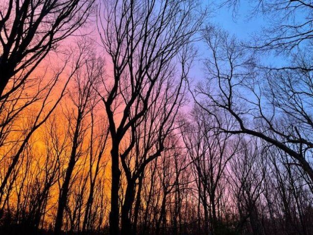 Photos For Perfectionists (17 pics) Photos For Perfectionists (17 pics)
