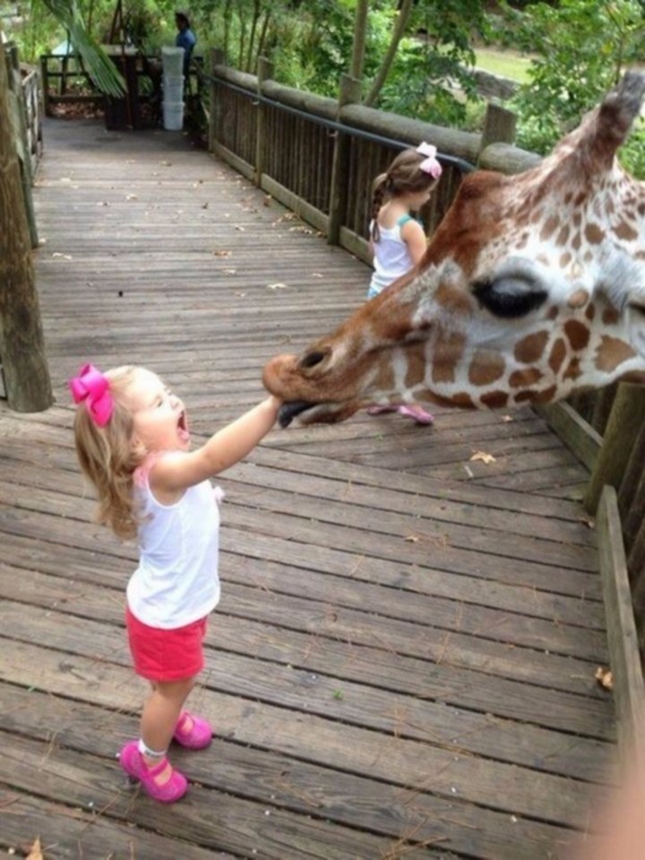 Unfortunate Situations (23 pics) Unfortunate Situations (23 pics)