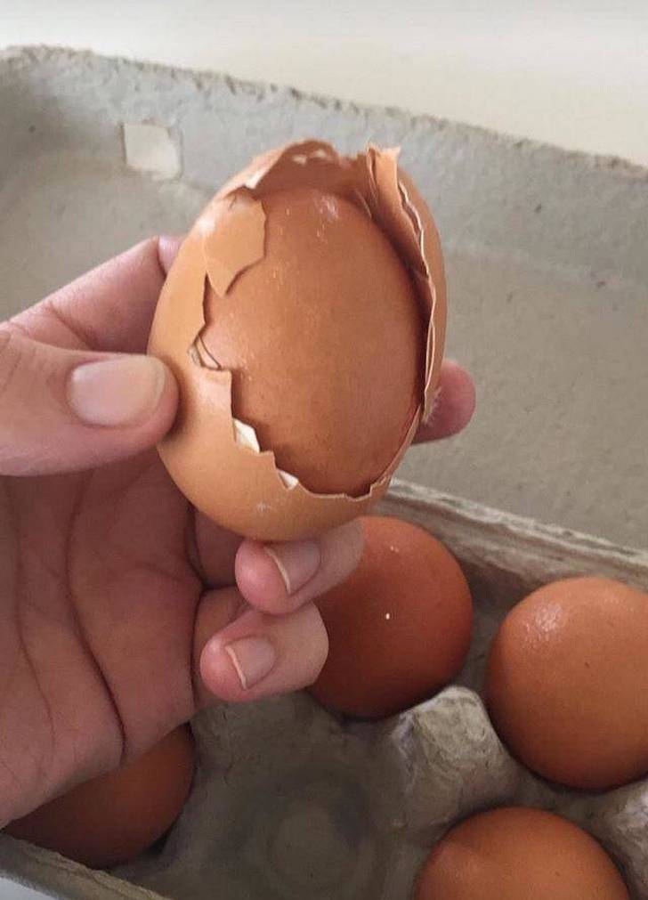 Bad Days Happen (25 pics) Bad Days Happen (25 pics)