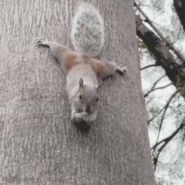 Acid GIFs, September 16 (25 gifs)