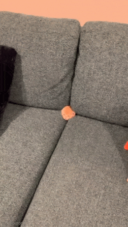 Acid GIFs, September 16 (25 gifs)