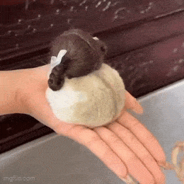 Acid GIFs, September 16 (25 gifs)