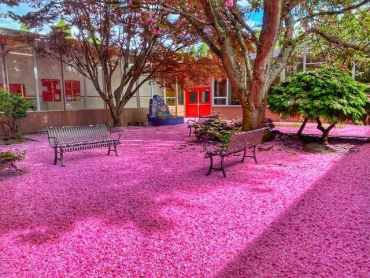 Photos For Perfectionists (23 pics) Photos For Perfectionists (23 pics)