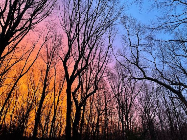 Photos For Perfectionists (23 pics) Photos For Perfectionists (23 pics)