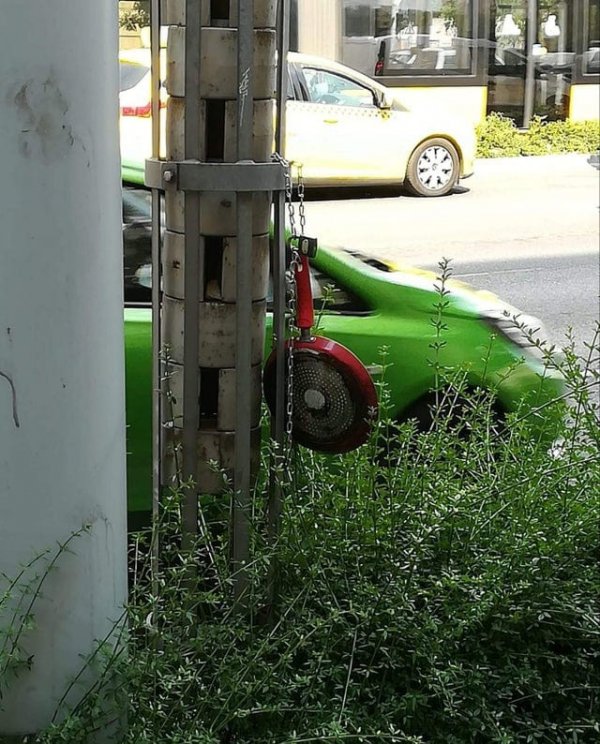 What Is Going On Here? (15 pics)
