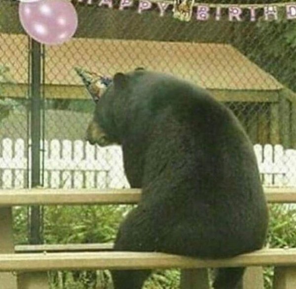 What Is Going On Here? (15 pics)