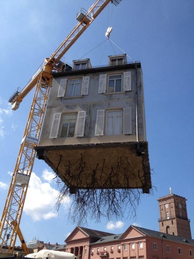 What Is Going On Here? (15 pics)