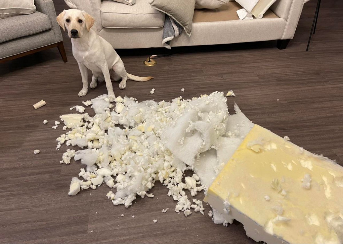 Bad Days Happen (25 pics)