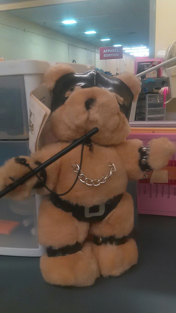 Strange Finds In Thrift Shops (21 pics) Strange Finds In Thrift Shops (21 pics)
