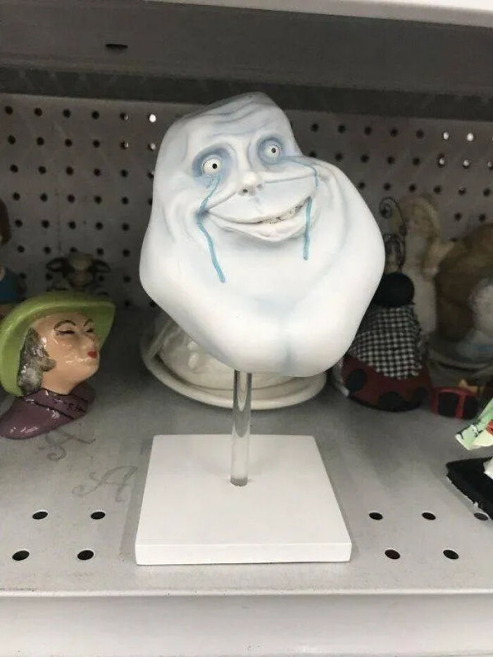Strange Finds In Thrift Shops (21 pics) Strange Finds In Thrift Shops (21 pics)
