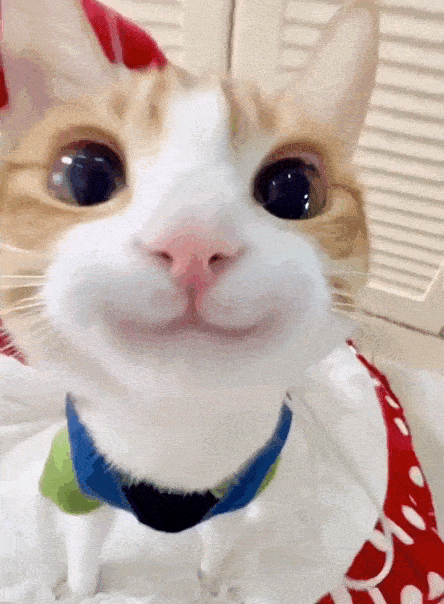 Acid GIFs, September 17 (25 gifs)