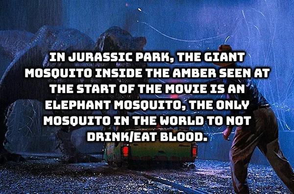 Random Facts (17 pics) Random Facts (17 pics)