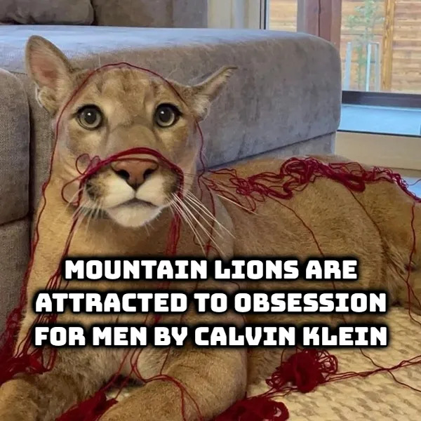 Random Facts (17 pics) Random Facts (17 pics)