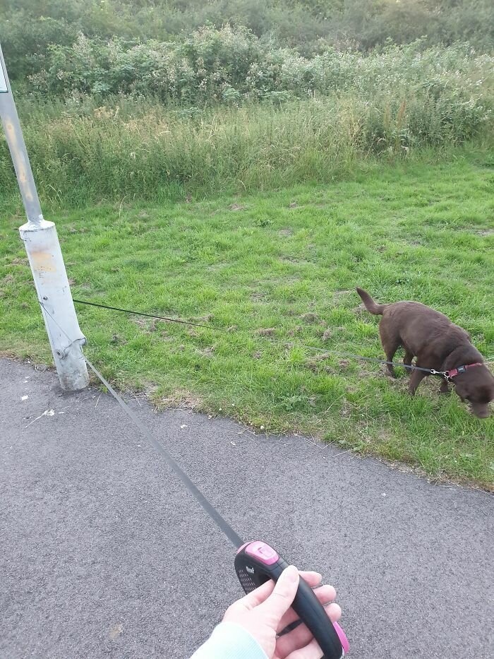 It's Annoying (25 pics) It's Annoying (25 pics)