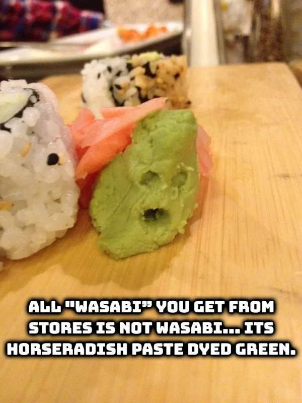 Random Facts (17 pics) Random Facts (17 pics)