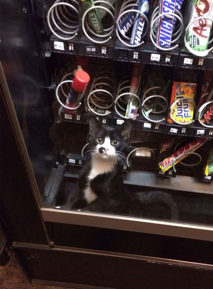 Bad Days Happen (25 pics)
