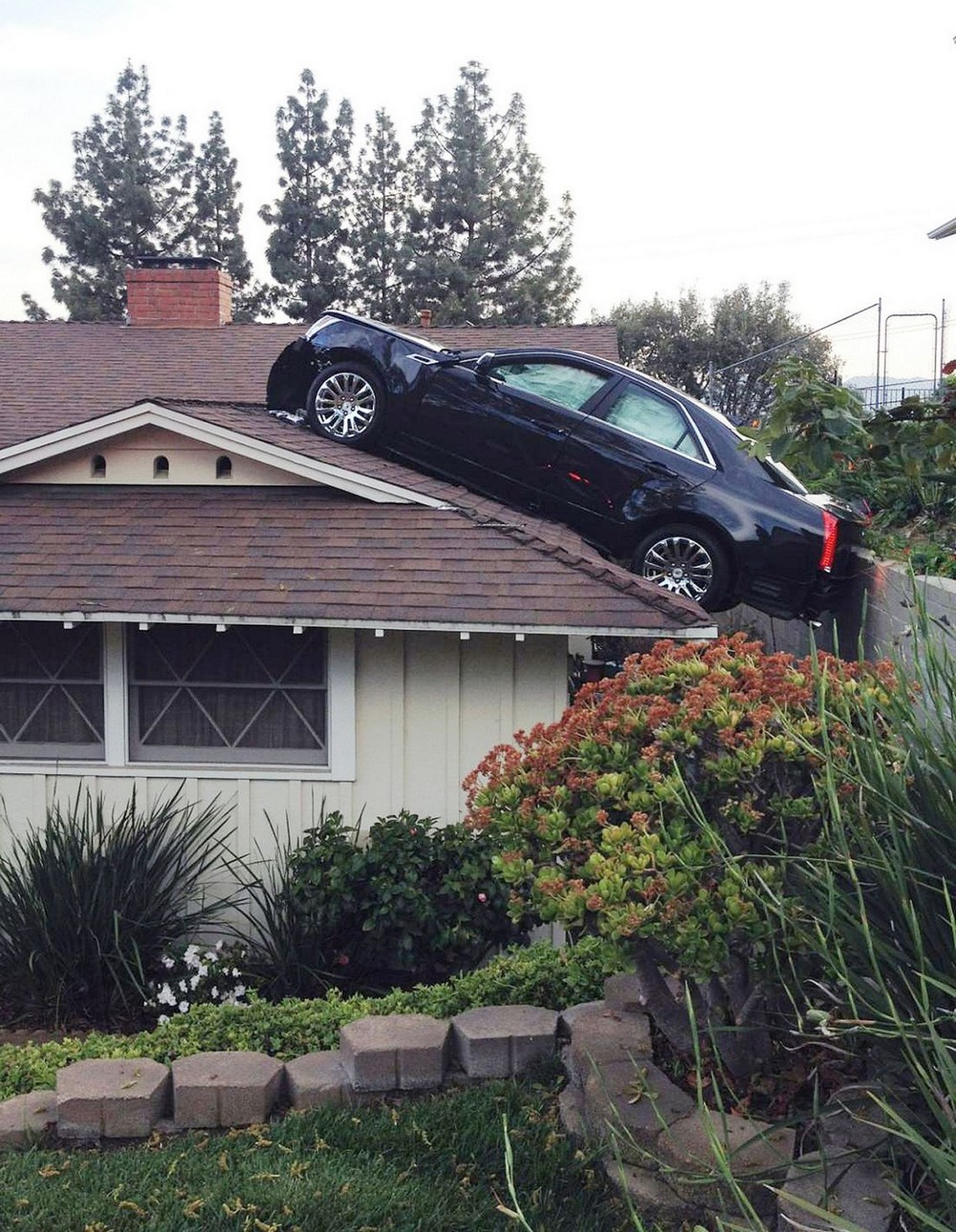 Bad Days Happen (25 pics)