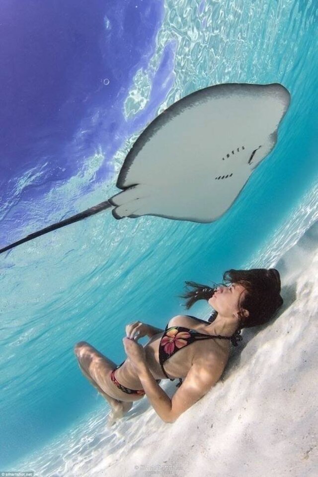 Bikini Girls (21 pics)
