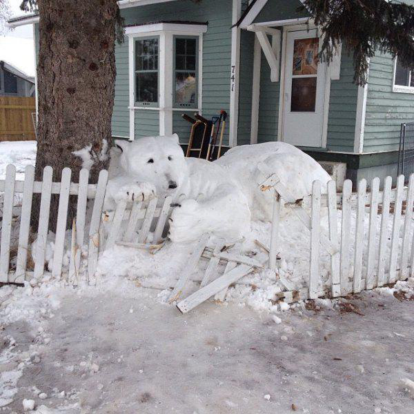 Daily Pictures. Part 1 (77 pics)