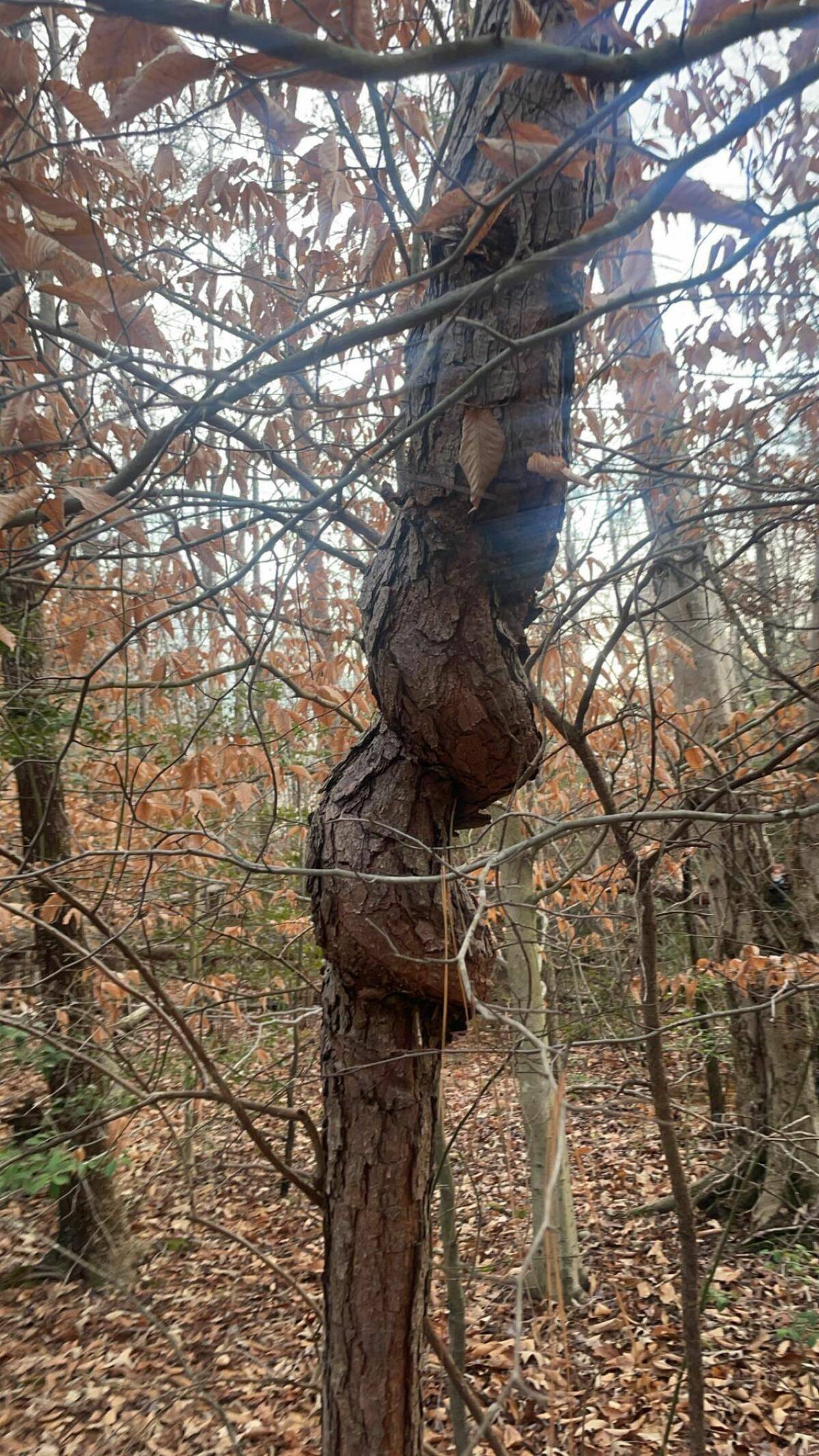 Daily Pictures. Part 2 (76 pics)