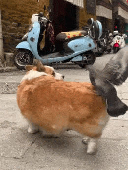 Acid GIFs, September 18 (25 gifs) Acid GIFs, September 18 (25 gifs)