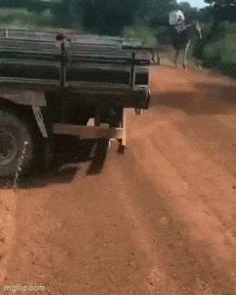 Acid GIFs, September 18 (25 gifs) Acid GIFs, September 18 (25 gifs)