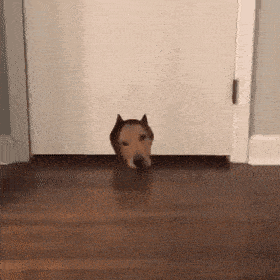 Acid GIFs, September 18 (25 gifs) Acid GIFs, September 18 (25 gifs)