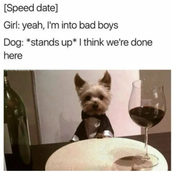 Funny Memes (21 pics) Funny Memes (21 pics)