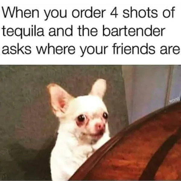 Funny Memes (21 pics) Funny Memes (21 pics)