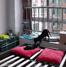 Acid GIFs, September 21 (25 gifs) Acid GIFs, September 21 (25 gifs)