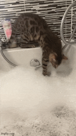 Acid GIFs, September 21 (25 gifs) Acid GIFs, September 21 (25 gifs)