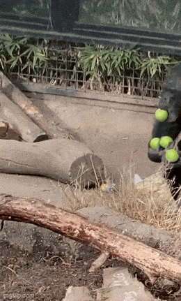 Acid GIFs, September 21 (25 gifs) Acid GIFs, September 21 (25 gifs)